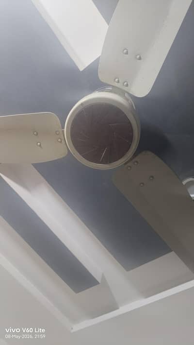 Royal Fan New Condition