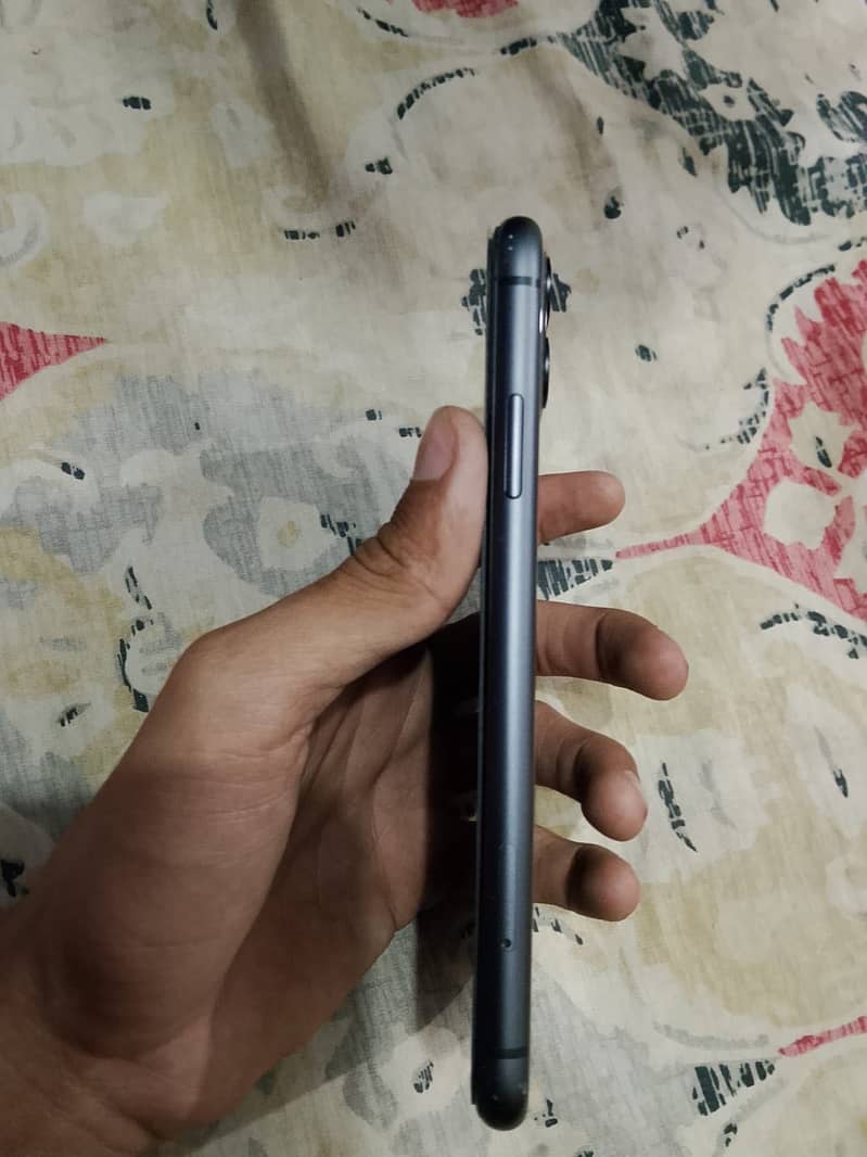 iPhone 11 0