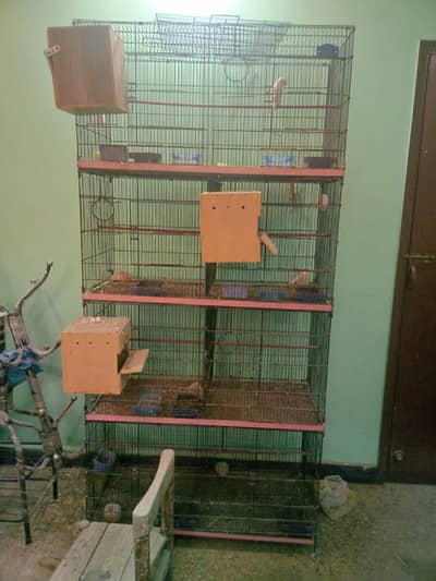Bird cage