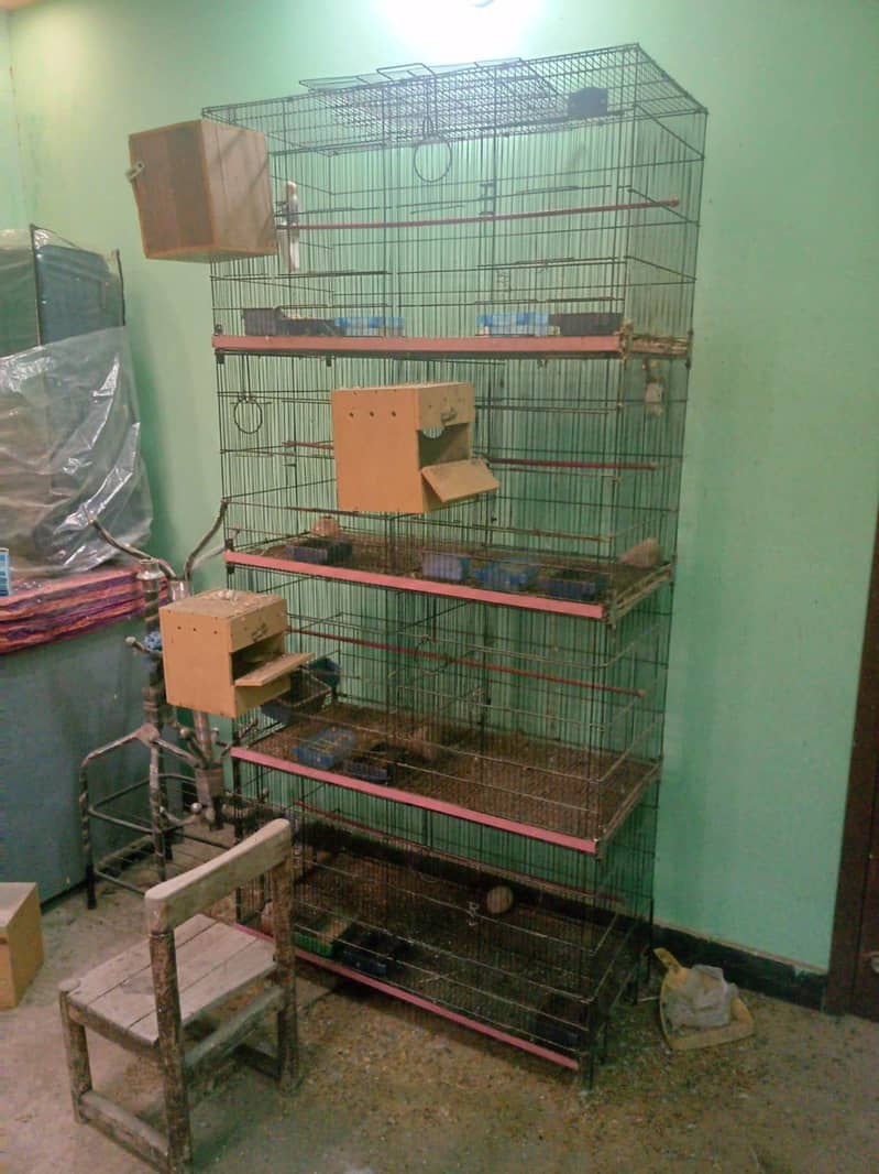 Bird cage 1