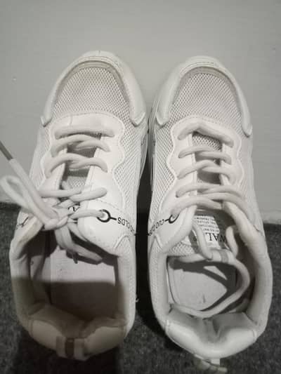 Sole jogger
