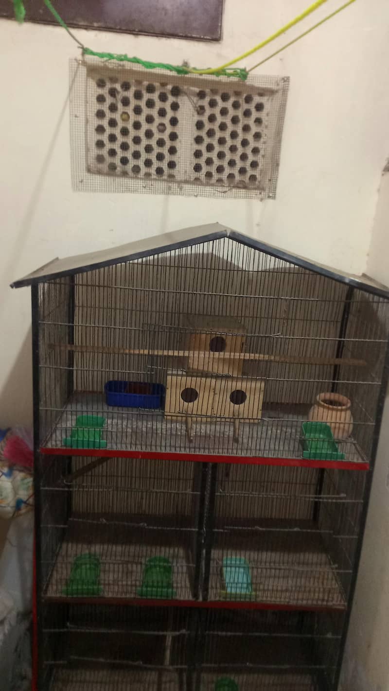 Master cage 0
