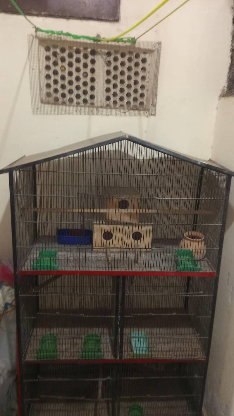 Master cage 1