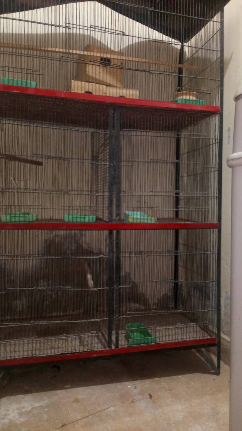 Master cage 3