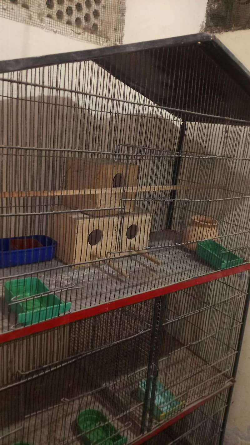 Master cage 4