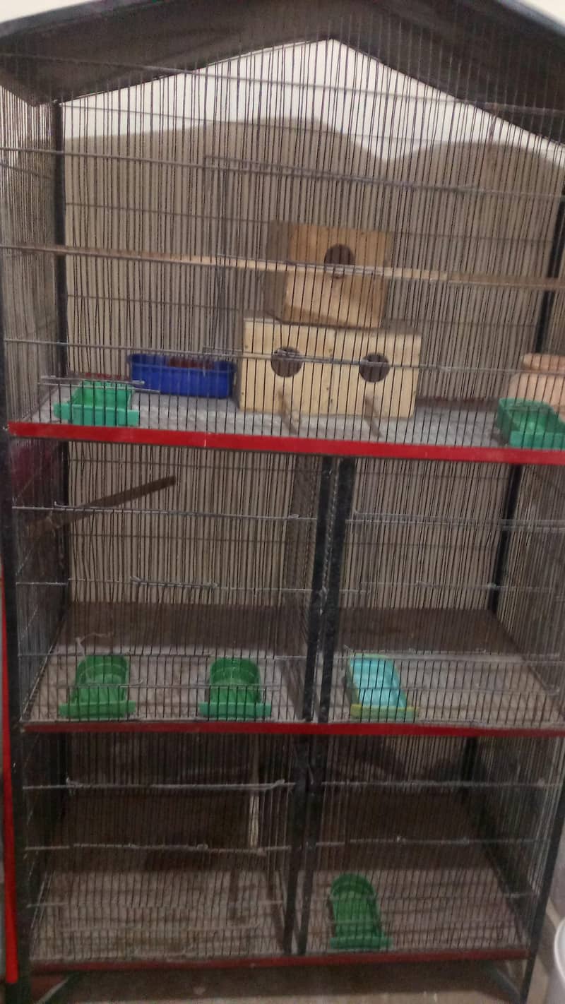Master cage 5