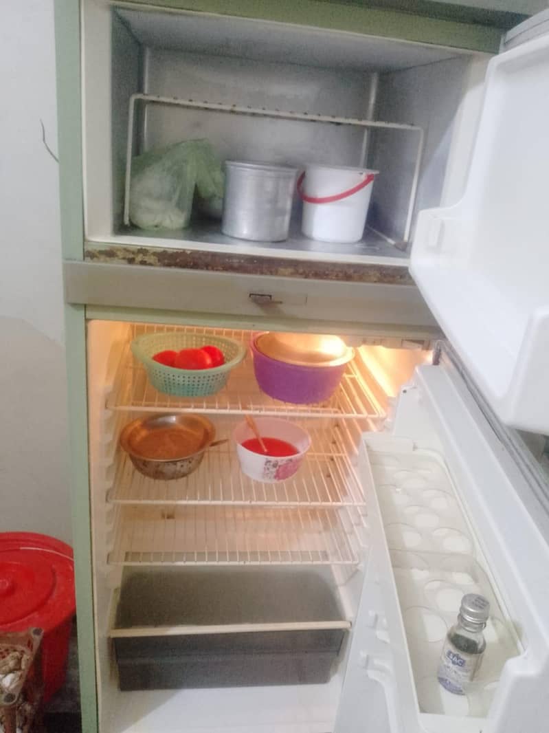 phillips fridge 5