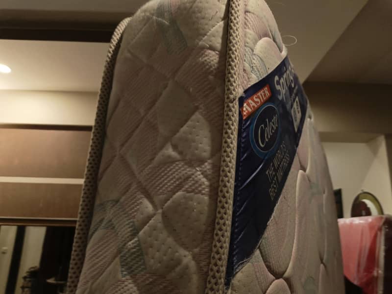 Master Celeste Spring Mattress 1