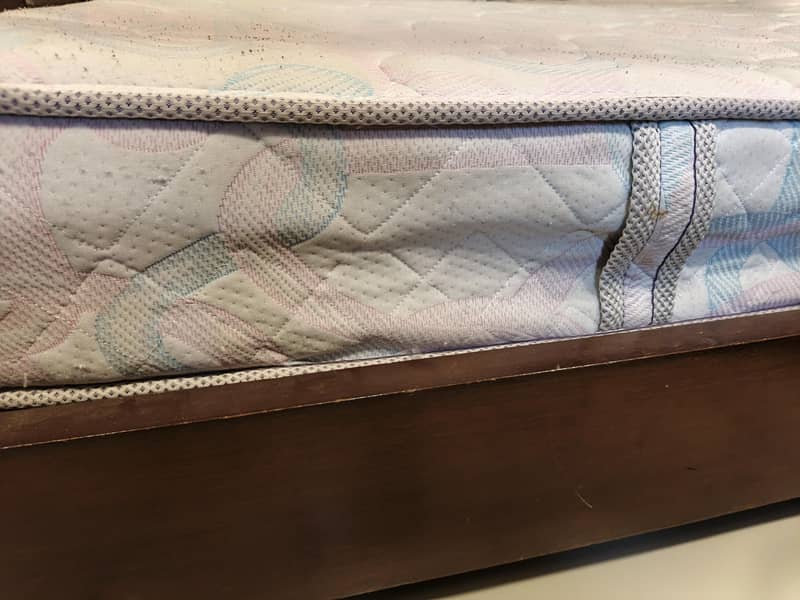 Master Celeste Spring Mattress 4