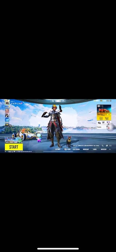 PUBG HIGH ACC(LEVEL 87) COLLECTION LEVEL 70