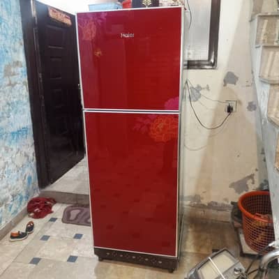 Hair Large Glass Door 100 % Cooling Totall Genuine