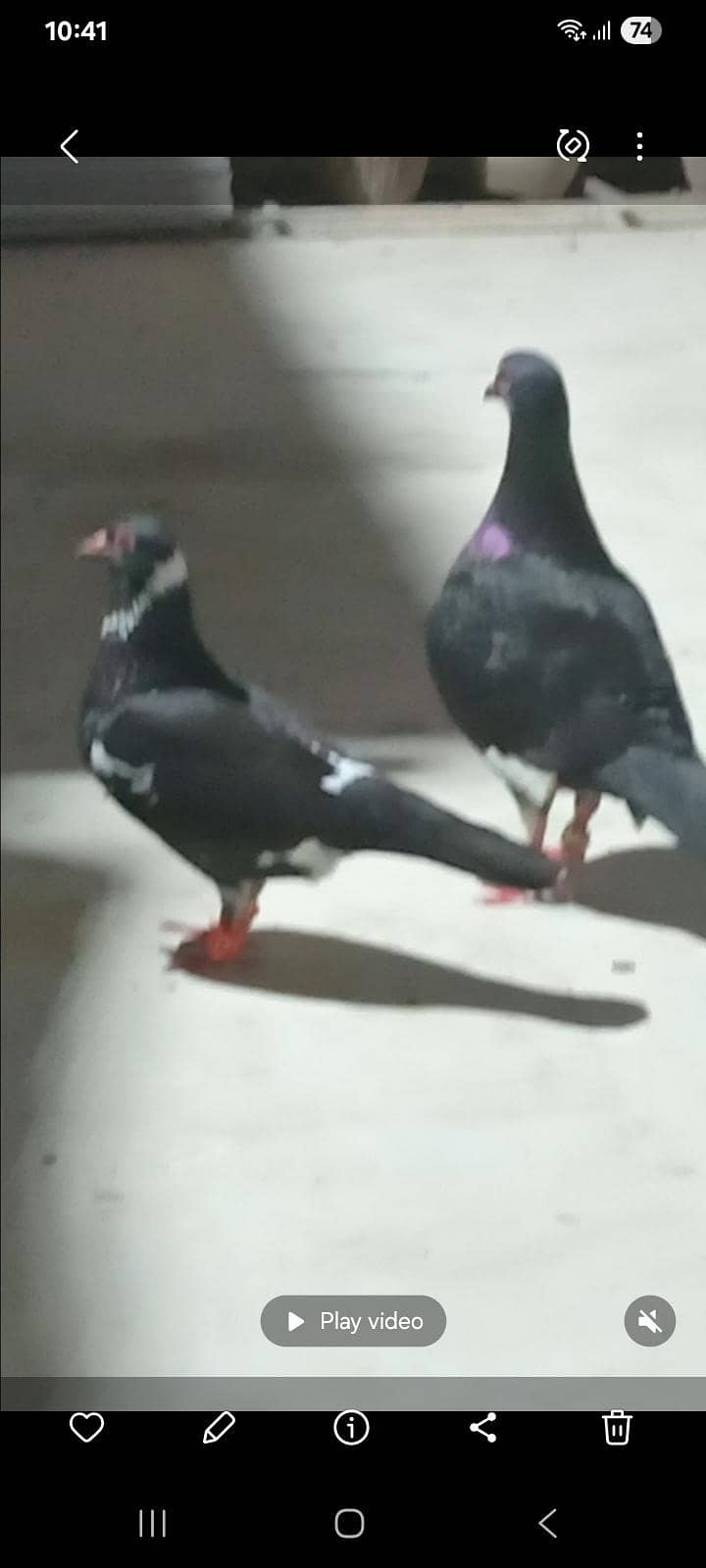 pair active and beautiful 0