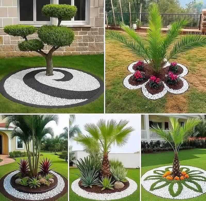 Plant 7
