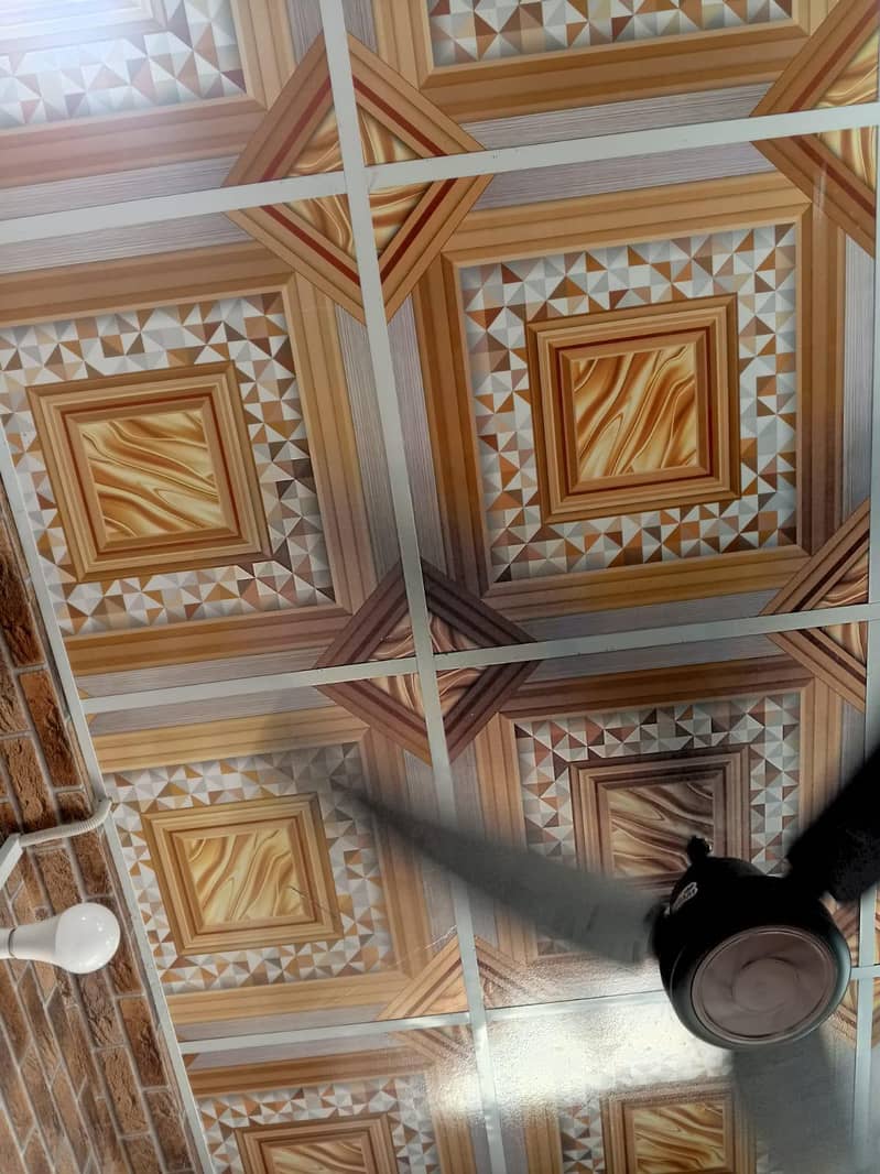 false ceiling 0