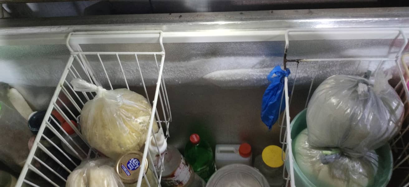 waves deep freezer 1