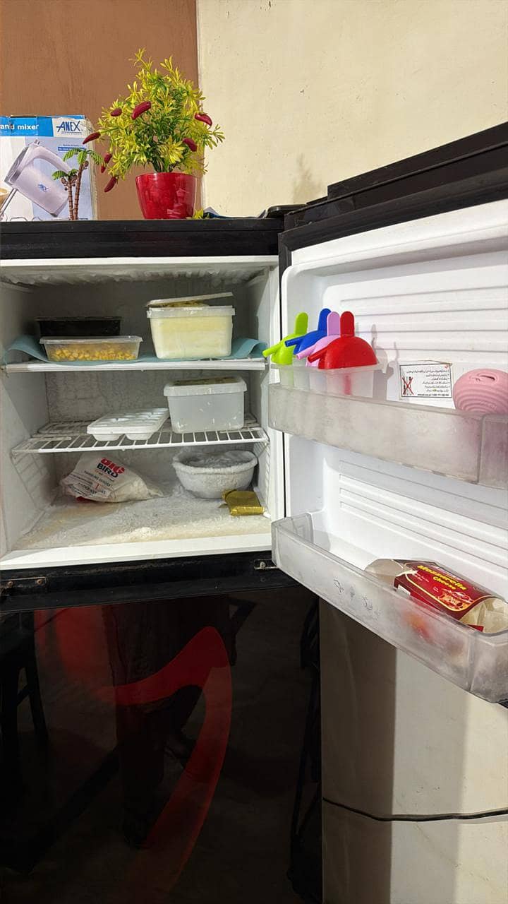 fridge 3