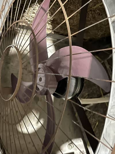 Air cooler