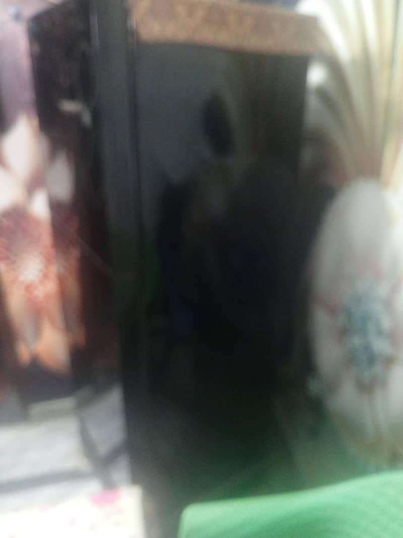 fridge 4