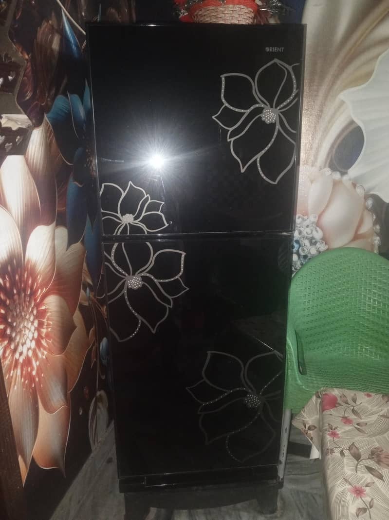 fridge 6