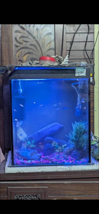 aquarium