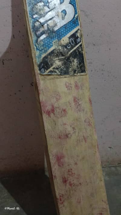 Hard Ball Cricket Bat
