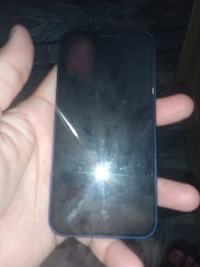 iPhone 12 mini 5