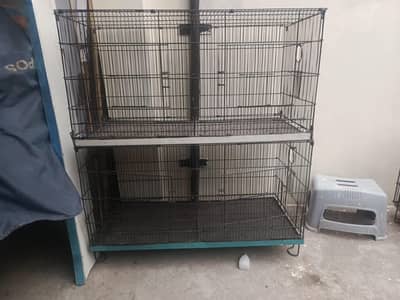 birds cages