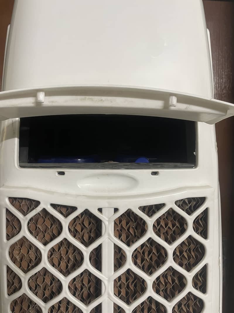 BEETRO XT - 100C 1