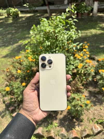Iphone 14 pro max pta approved