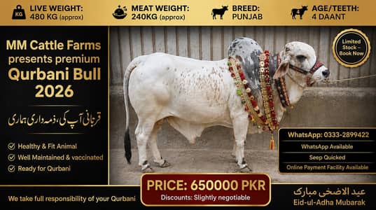 Qurbani 2026 / Affordable prices/bull/ Desi bachre/Bachri/karachi