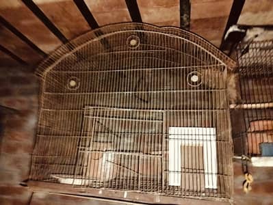 birds cage  two person ha