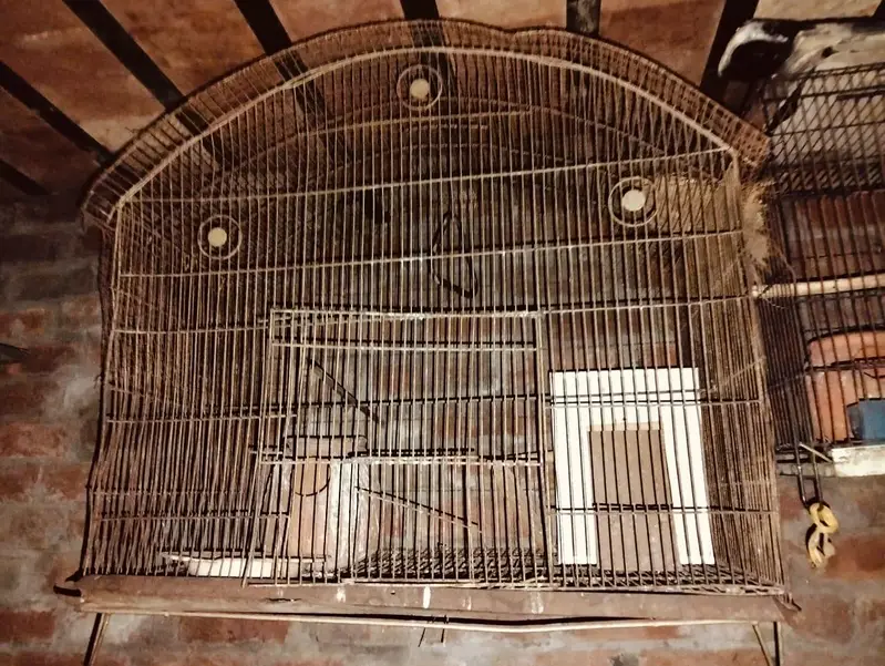 birds cage  two person ha — photo 2