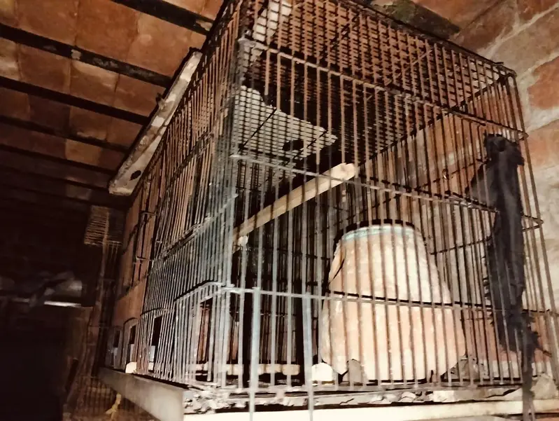 birds cage  two person ha — photo 4