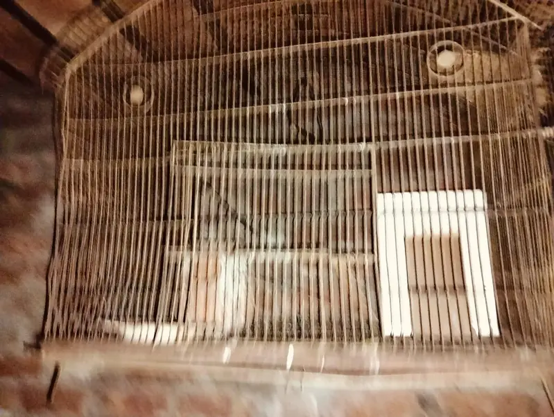 birds cage  two person ha — photo 5
