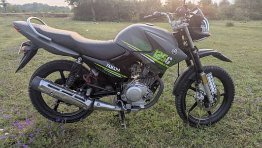 for sale .