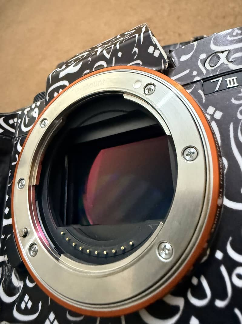Sony A7III 6