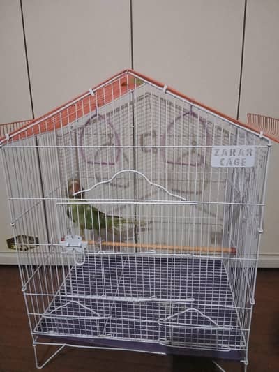 raw parrot with cage
