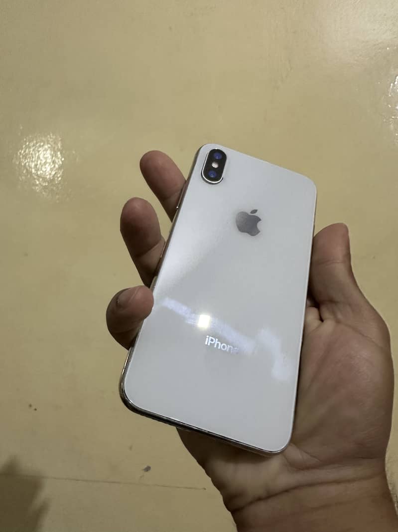 iPhone X bypass 2