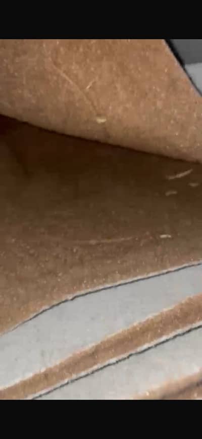 Carpet