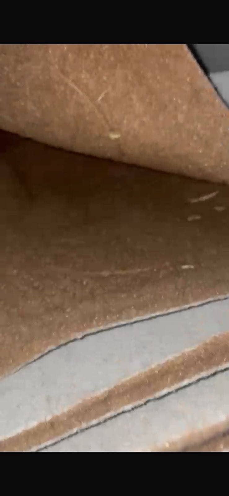 Carpet 0