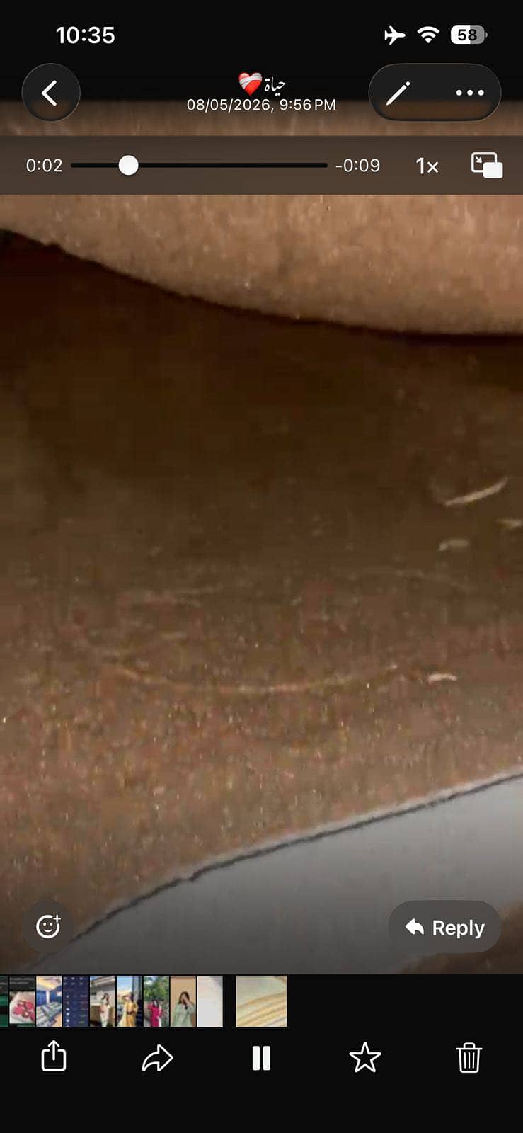 Carpet 3
