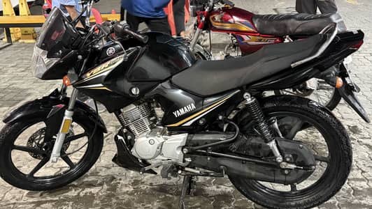 Yamaha ybr 125 for sale 2025 model