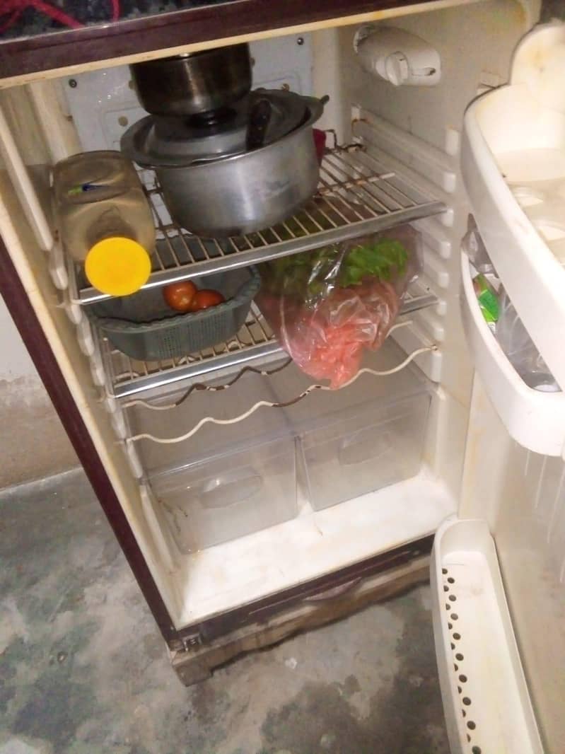 fridge 3
