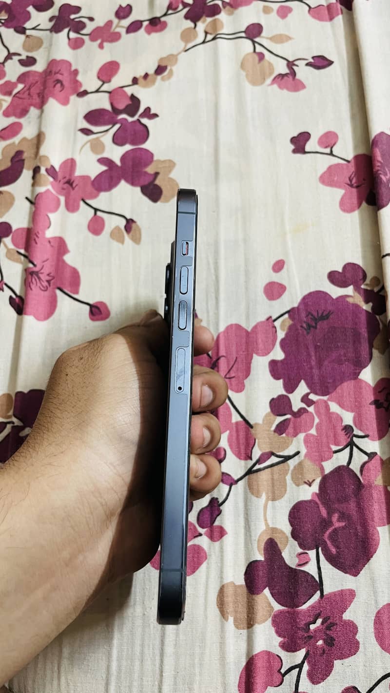 Iphone 13 pro max 1