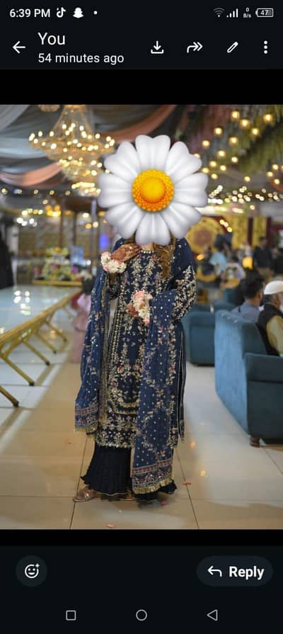 sana safinaz