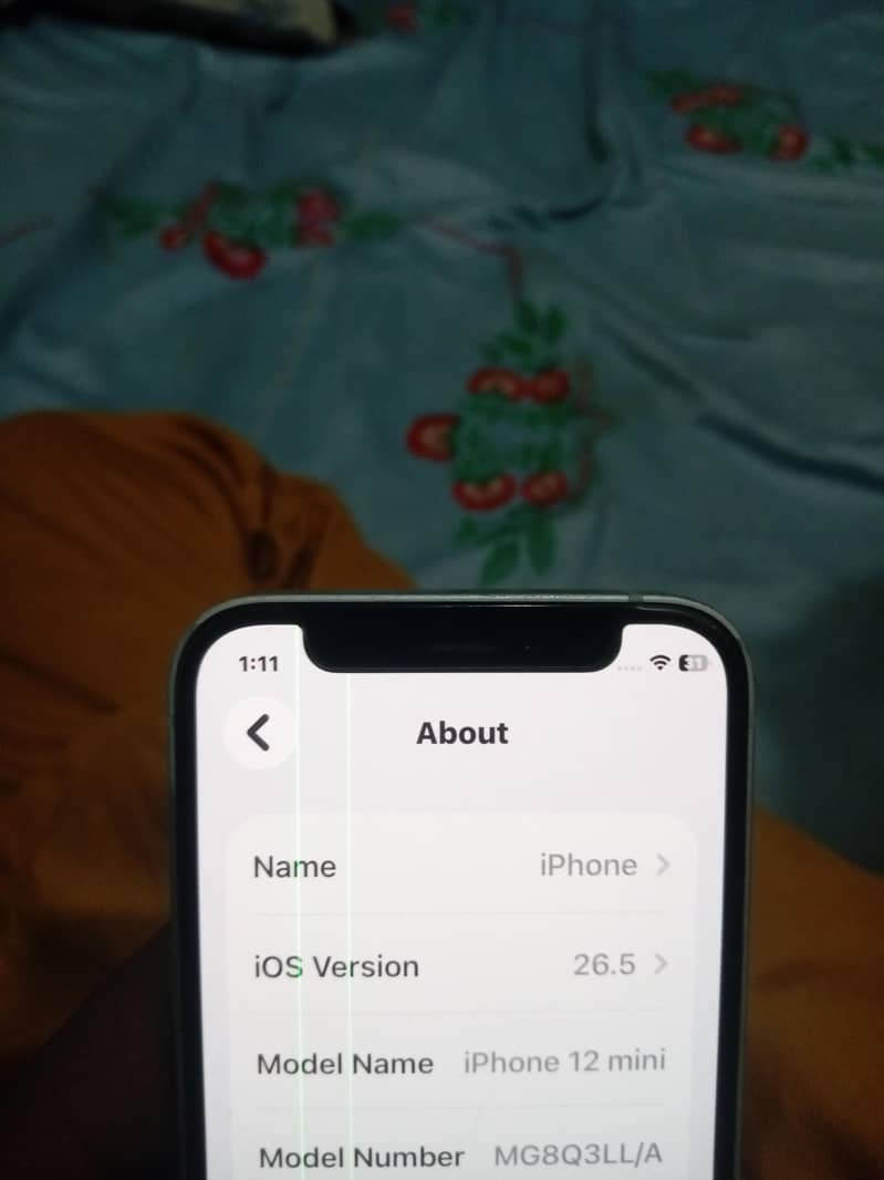Iphone 12 Mini 2