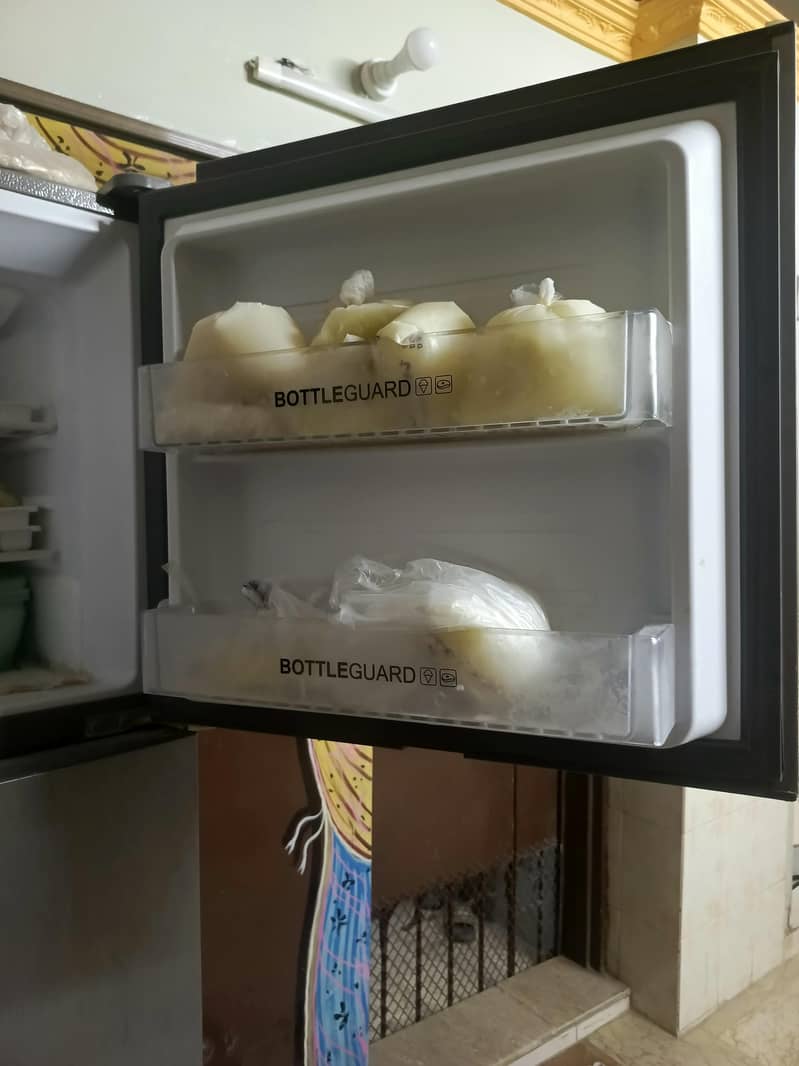fridge 2