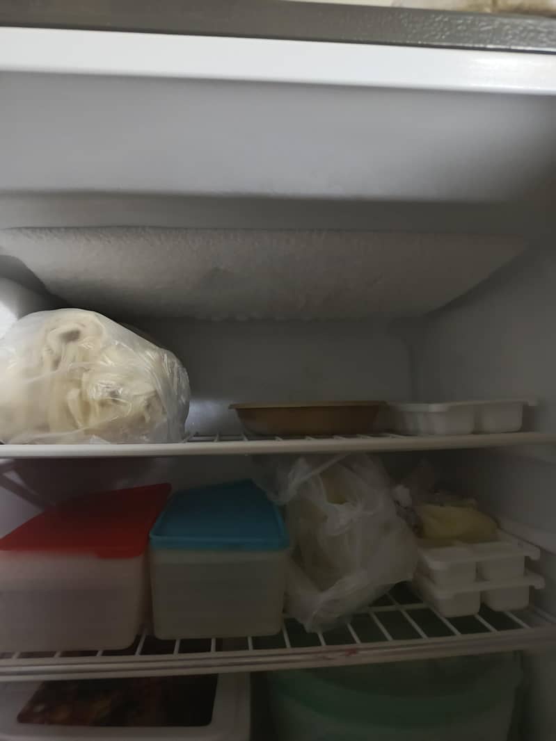 fridge 3