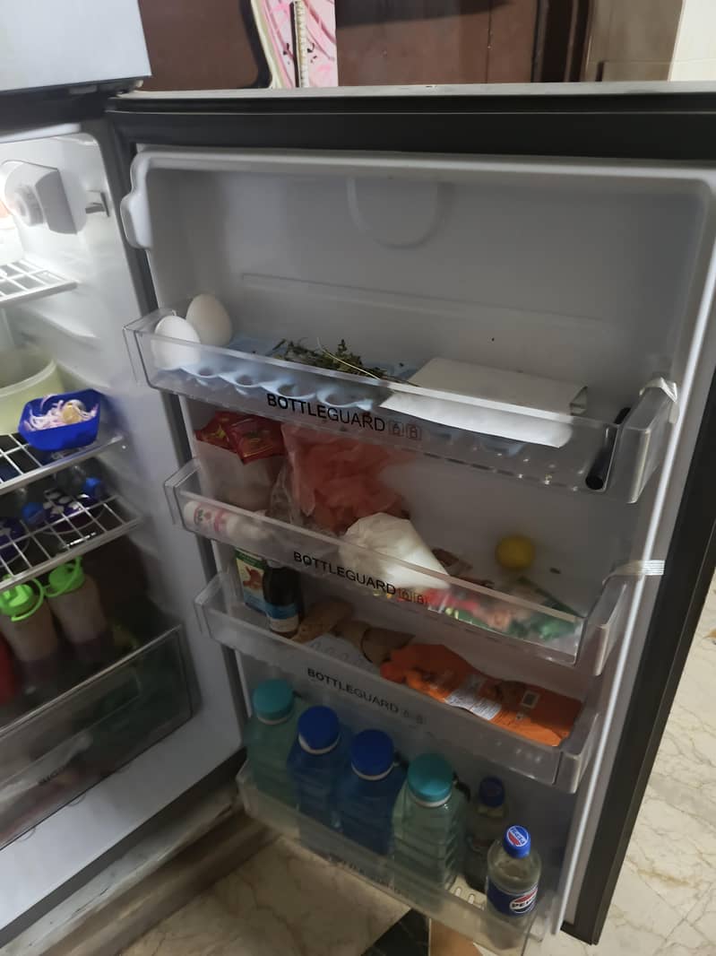 fridge 6