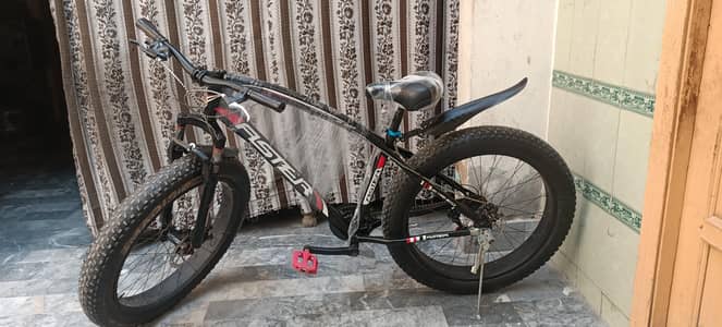 fat tyres bycycle